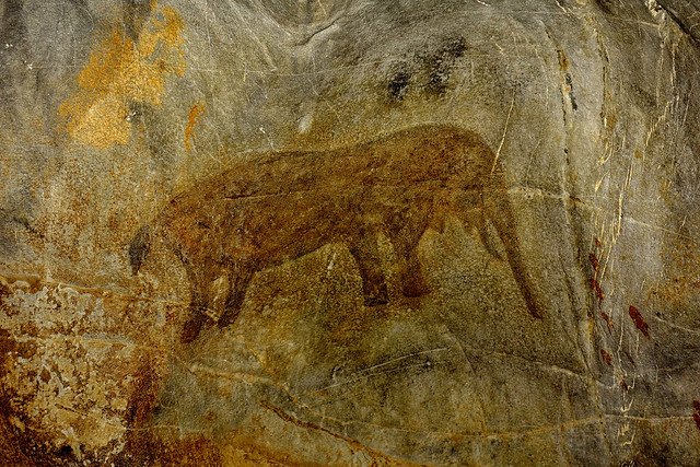SÜDAFRIKA( South-Africa),   Cango Tropfsteinhöhle bei Oudtshoorn, Höhlenmalerei vor ca 10.000 Jahren, Elefant ,   22629