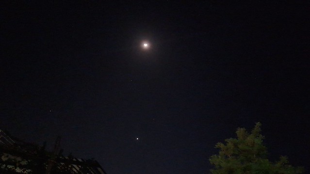 The Moon, Mars, Venus and Procyon