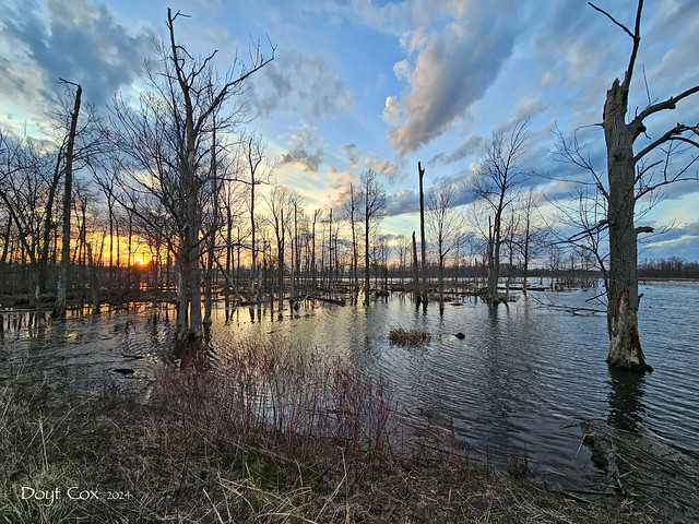 Shipman Pond sunrise