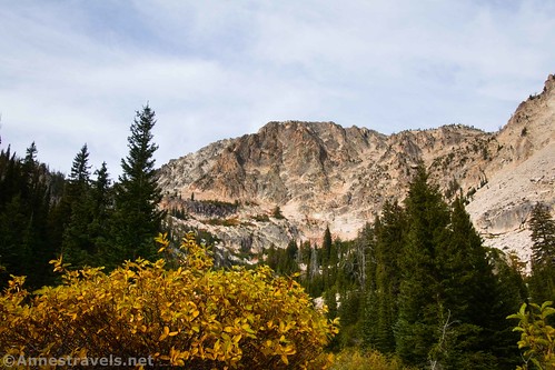 Views from near the crossing of Iron Creek on the Sawtooth Lake Trail, Sawtooth National Recreation Area, Idaho