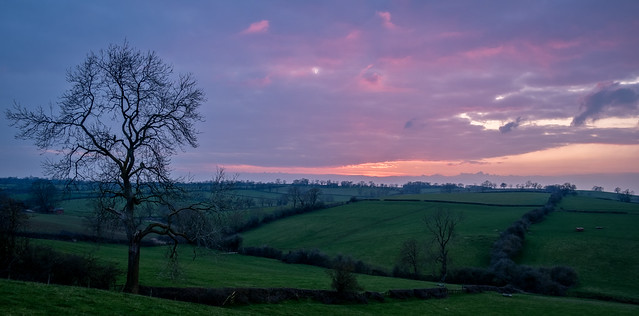 Leicestershire Landscape