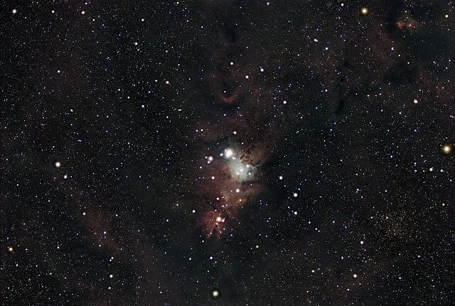 NGC 2264 Christmas Tree cluster