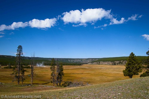 Looking toward where Queen's Laundry would be... I think the remains of the bathhouse are blocked by the trees just to the left of the center of the photo.  Sentinel Meadows, Yellowstone National Park, Wyoming