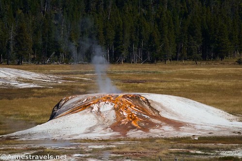Mound Spring in Sentinel Meadows, Yellowstone National Park, Wyoming
