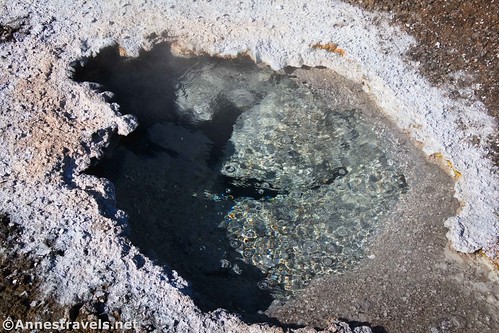 A bubbling spring near Fairy Creek in Imperial Meadows along the Sentinel Meadows Loop, Yellowstone National Park, Wyoming