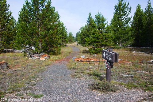 The "Trail Head" sign at the beginning of the southern end of the Sentinel Meadows Loop, Yellowstone National Park, Wyoming