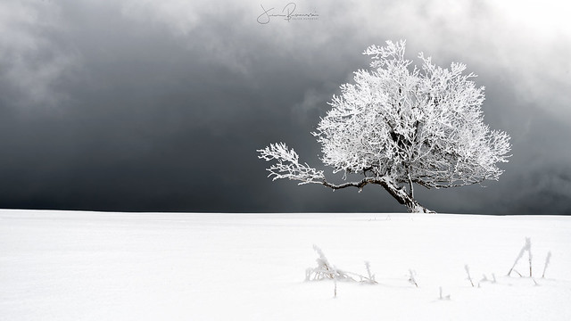 Blanc - Un spectacle hivernal au Creux du Van, Suisse.