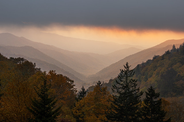 Smoky Mountains in Autumn_Q5I1107