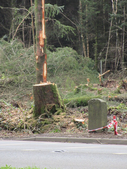 A382 Stover Milestone and Tree