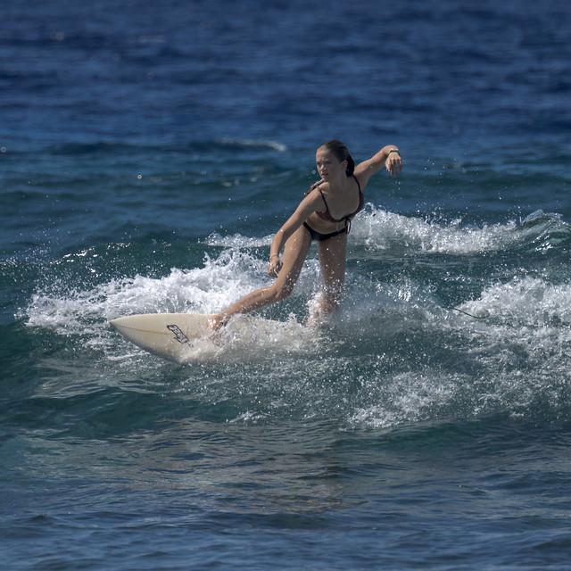Surf 6