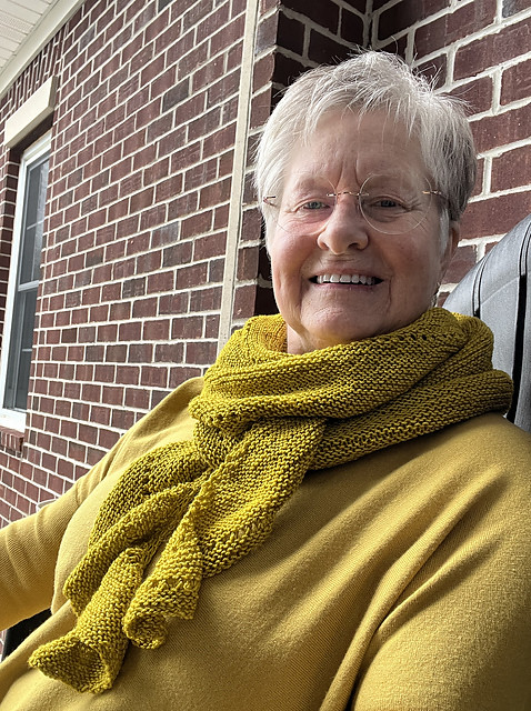 Leslie (lcritch) finished this A Day to Remember by Joji Locatelli using 2 skeins of Malabrigo Sock in 35 Franc Ochre.