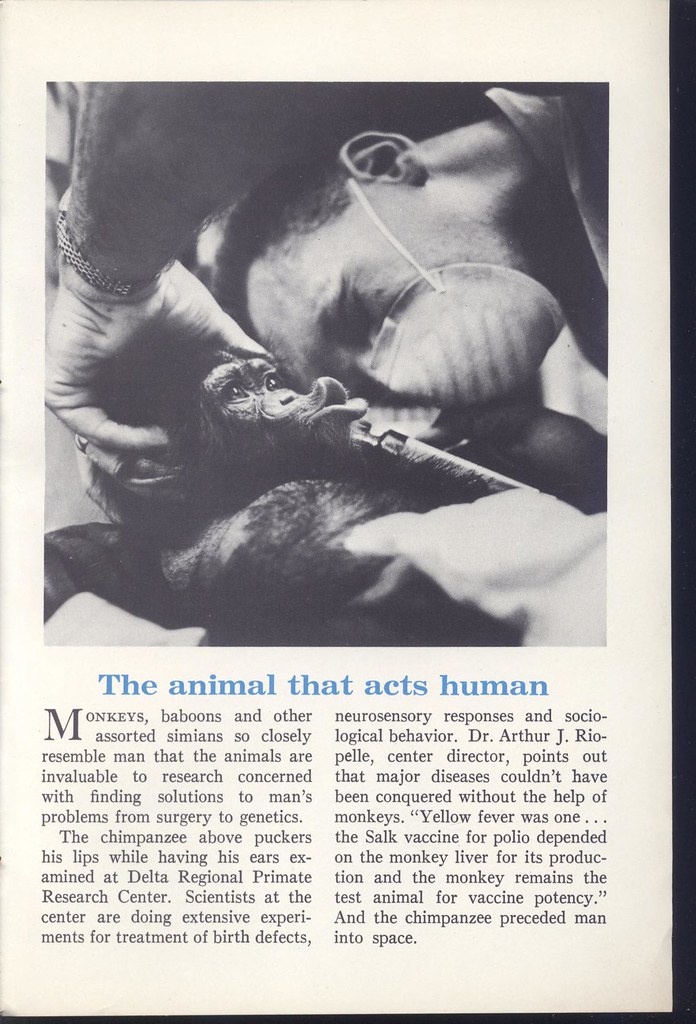 The More You Know 086 - The Animal That Acts Human - March 1967