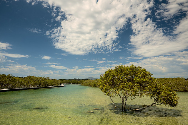 Bellinger Heads State Park