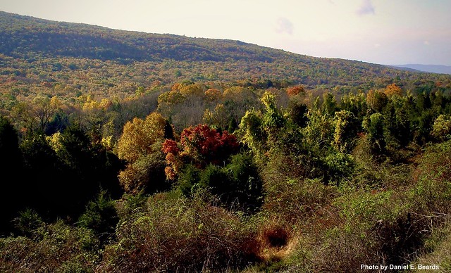 The Autumn Colors in The Delaware National Recreation Area