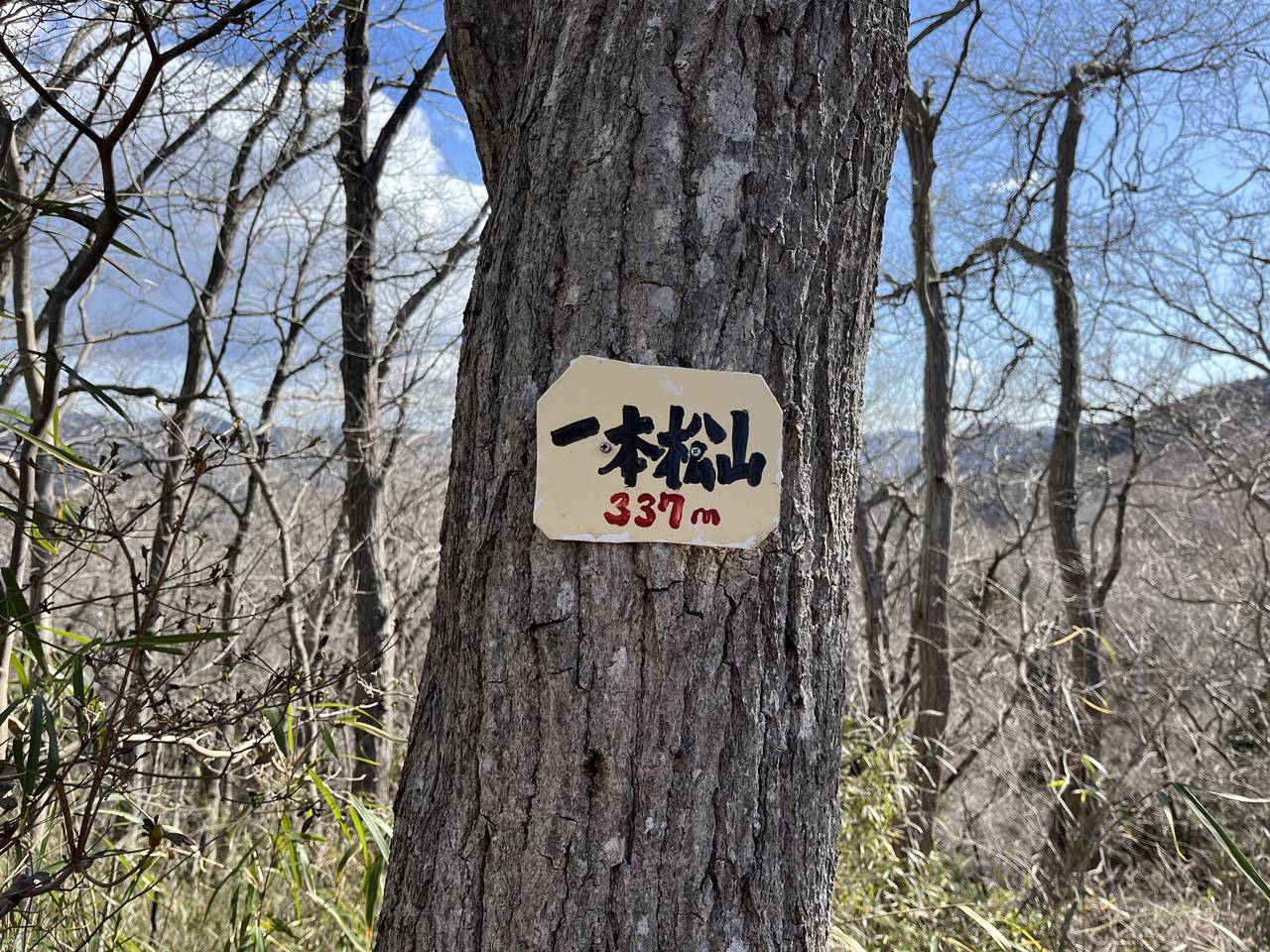 【藤野】一本松山山頂の標識