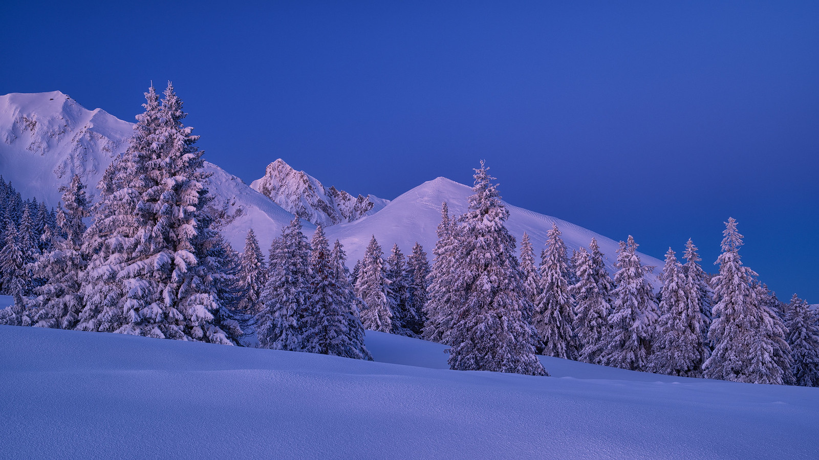 Winter wonder land - Gantrisch