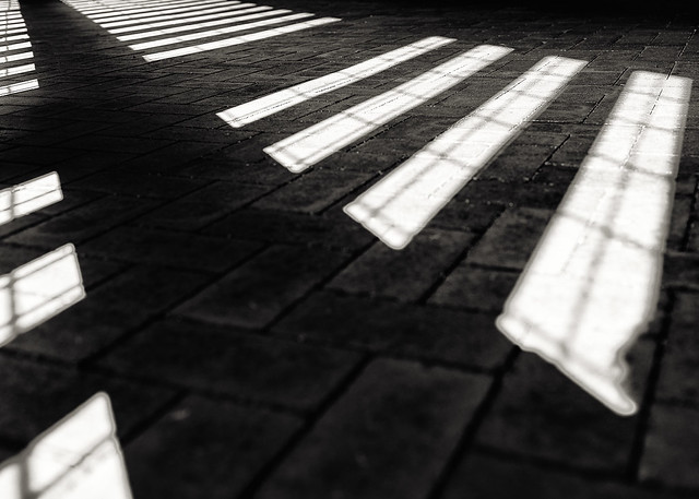 Light patterns on the street.