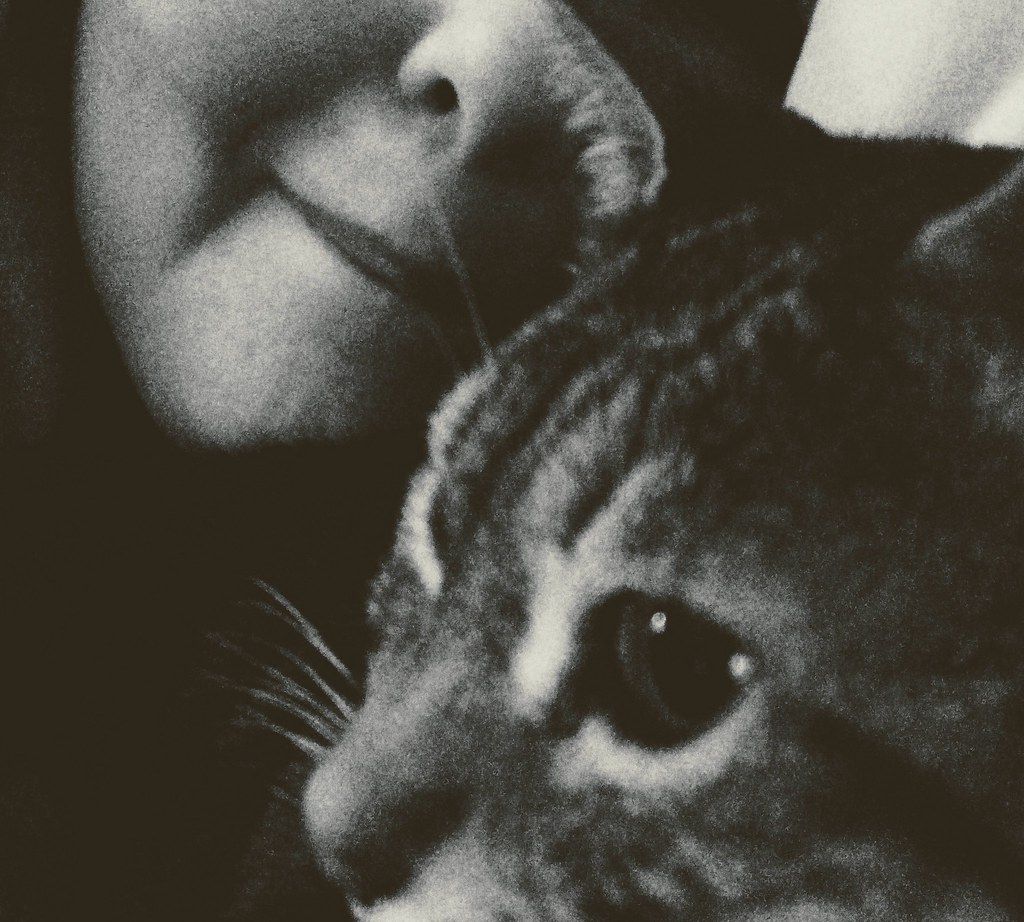 Just Me & My Cat