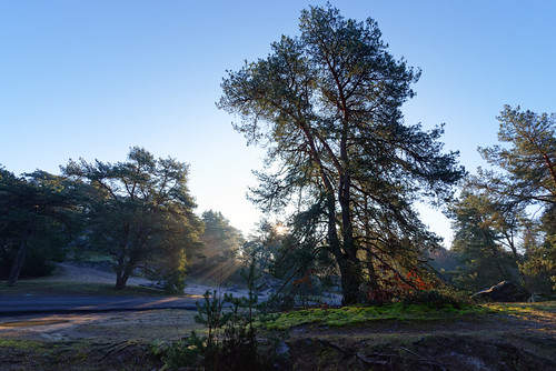 Forêt de Nanteau by hbensliman, French gâtinais régional nature park landscape
<a href="http://hbensliman.free.fr/Ile-de-France/Gati