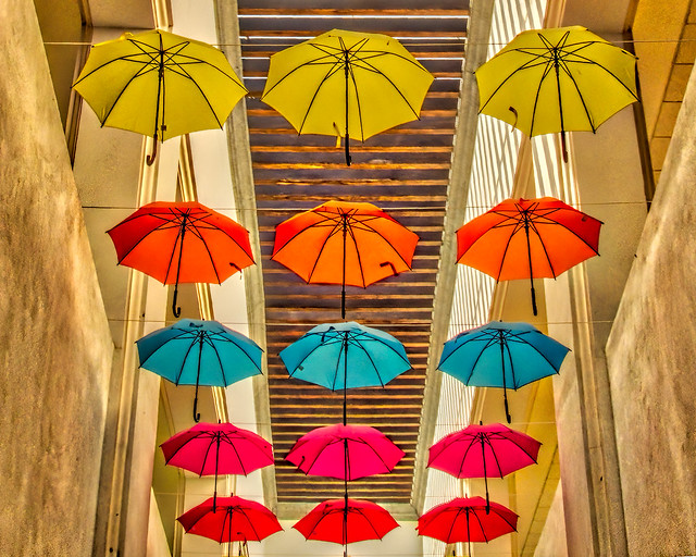 Umbrellas Looking Up