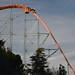 			<p><a href="https://www.flickr.com/people/coastermadmatt/">CoasterMadMatt</a> posted a photo:</p>
	
<p><a href="https://www.flickr.com/photos/coastermadmatt/53576717974/" title="Goliath, Six Flags Magic Mountain, America"><img src="https://live.staticflickr.com/65535/53576717974_5e4b7beaa4_m.jpg" width="240" height="160" alt="Goliath, Six Flags Magic Mountain, America" /></a></p>


