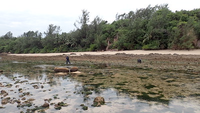 Living shores of Pulau Tekukor, Mar 2024