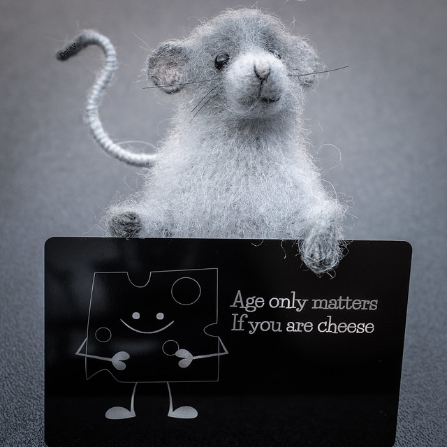 Wisdom from a mouse…