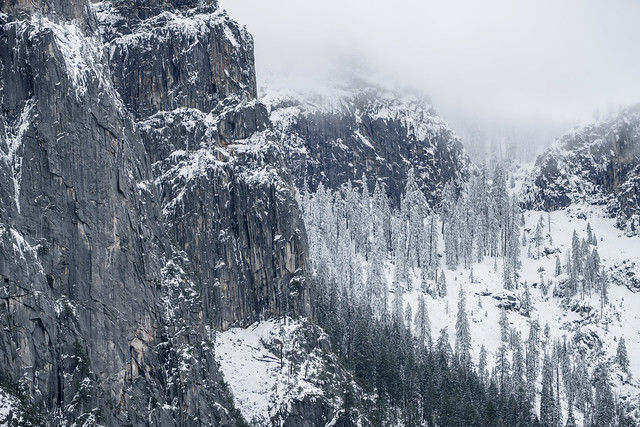 Yosemite Winter (5)