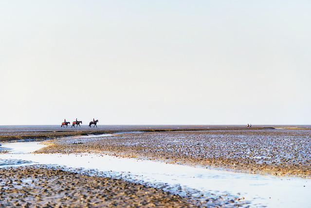 Ride in the mudflats (North Sea)