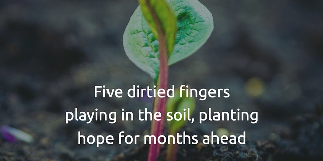 Fingers In The Soil