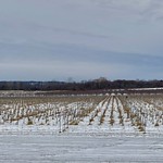 February 27, 2023: Arrowhead Spring Vineyard in winter, Cambria, New York A view over the vineyard of Arrowhead Spring winery in Cambria, New York, as seen offseason during a snowy February afternoon from the side of State Route 93. Specializing in traditional barrel-aged wines made from their own and other locally-grown grapes, Arrowhead Spring offers Pinot Noir, Merlot, Cabernet Sauvignon, Cabernet Franc, Syrah, Viognier and Chardonnay as well as an onsite restaurant serving small plates and, during summer weekends, full-size lunches.