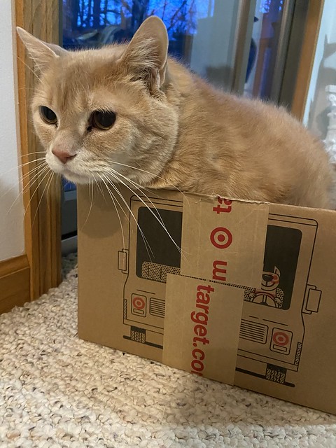 George in a Box