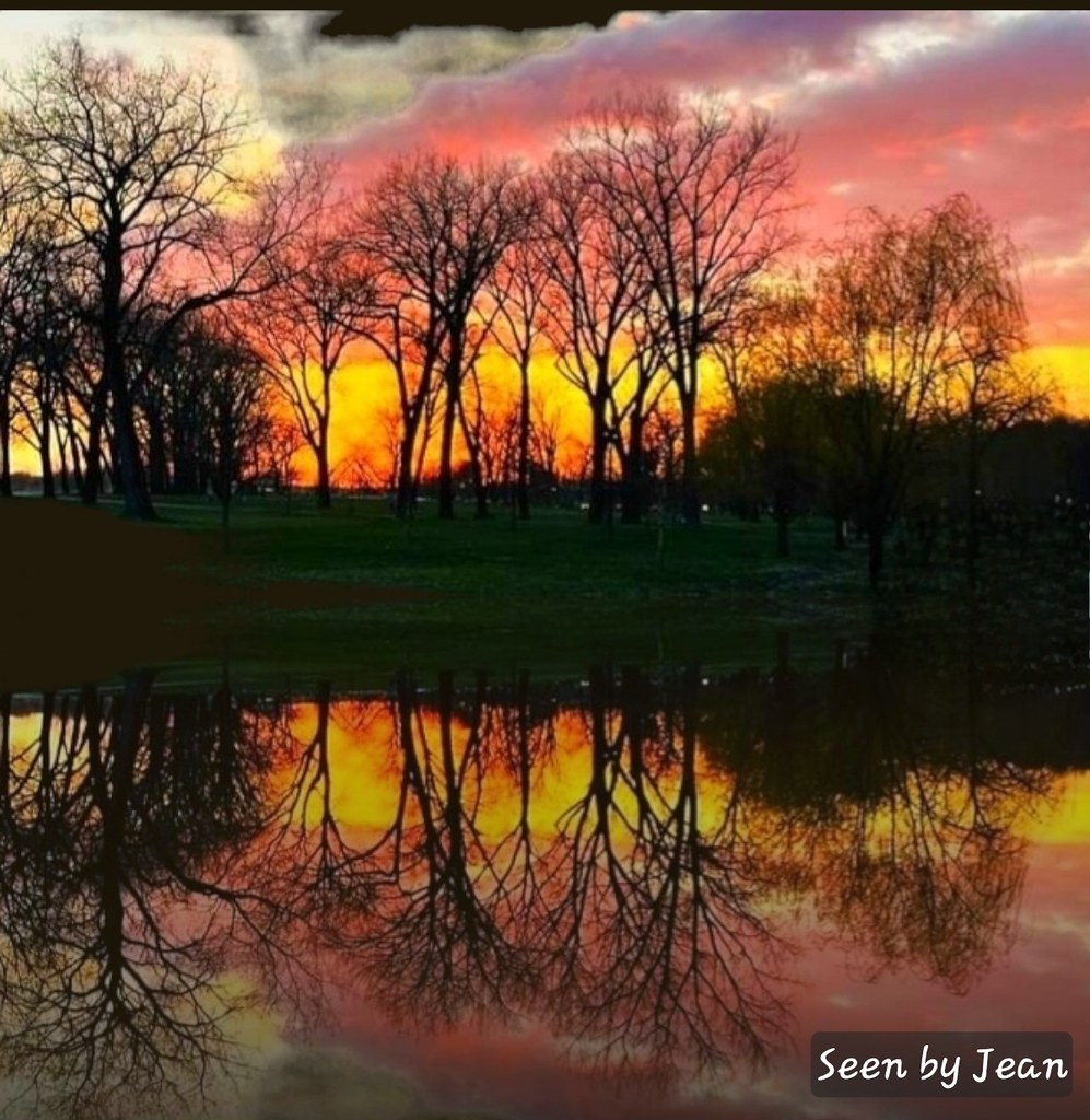 Reflection of a Sunset