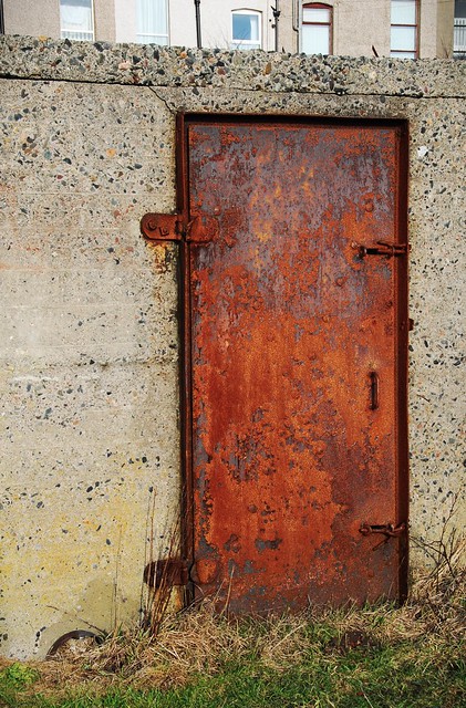 the door to narnia