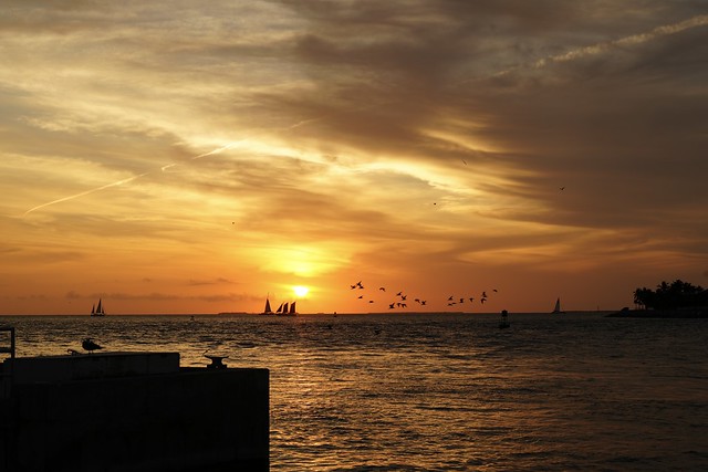 Sailing in to the Sunset, Key West
