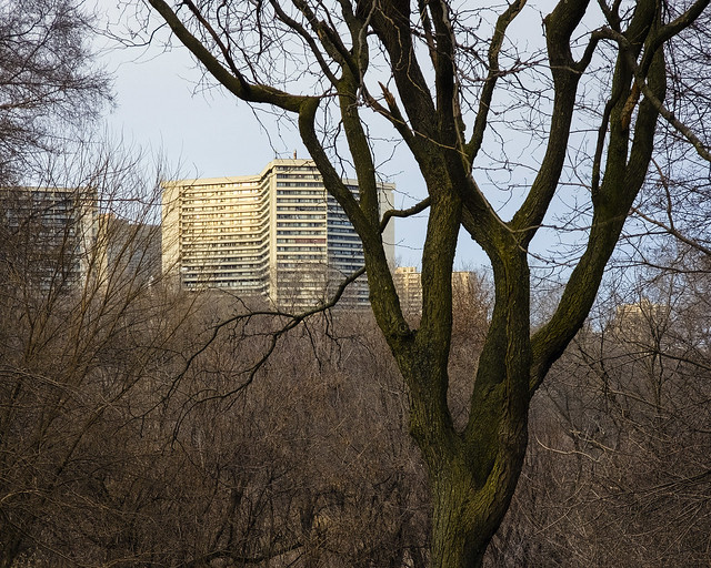 Looking Towards Thorncliffe Park