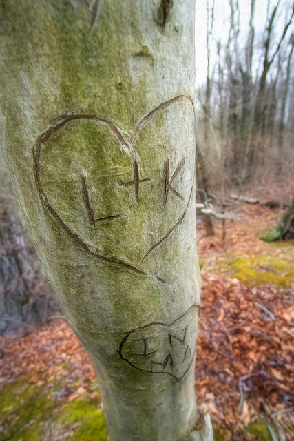 Tree Hearts