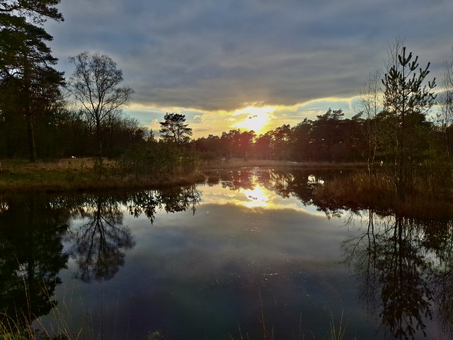 Hoge Veluwe Nationalpark, Netherlands