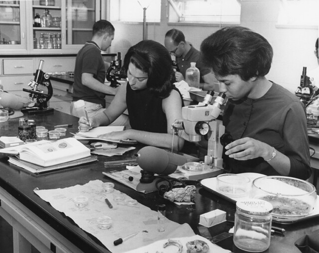 Kellogg Biological Station Entomology Laboratory, 1964.