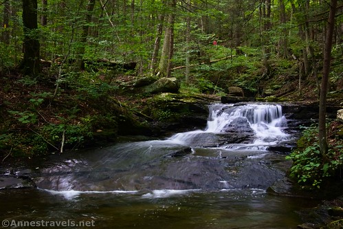 "Darth Vader" Falls on Double Run, Worlds End State Park, Pennsylvania