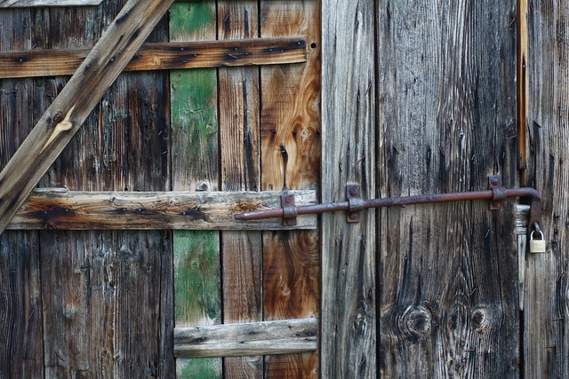 Antico portone rurale.Ancient rural door.(Rural decay)