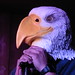 ACMS 11/03/24: Alwin The Eagle