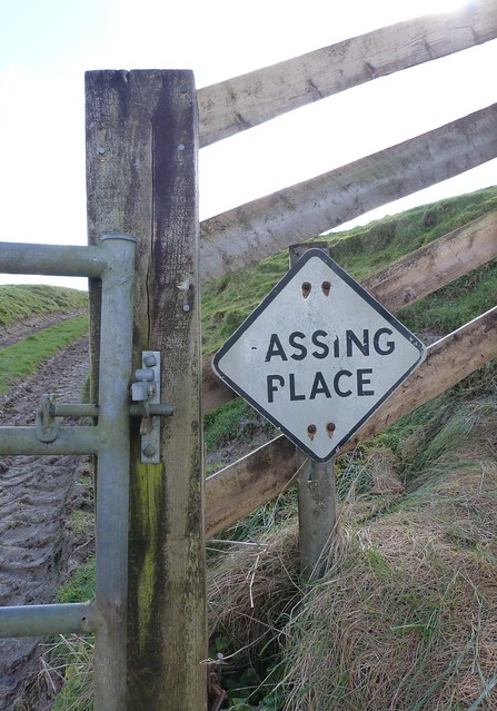 A cheeky little sign.