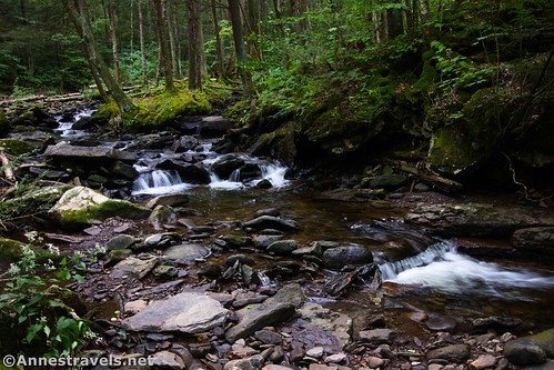 Little waterfalls in Double Run near the loop junction, Worlds End State Park, Pennsylvania
