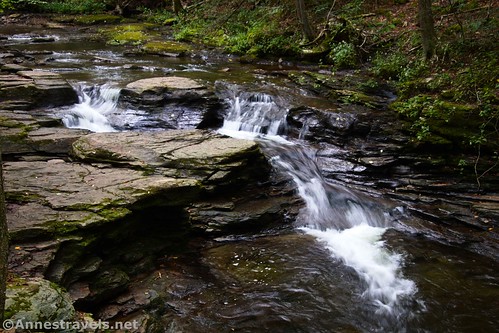 An unnamed cascade that I call First Falls along Double Run, Worlds End State Park, Pennsylvania