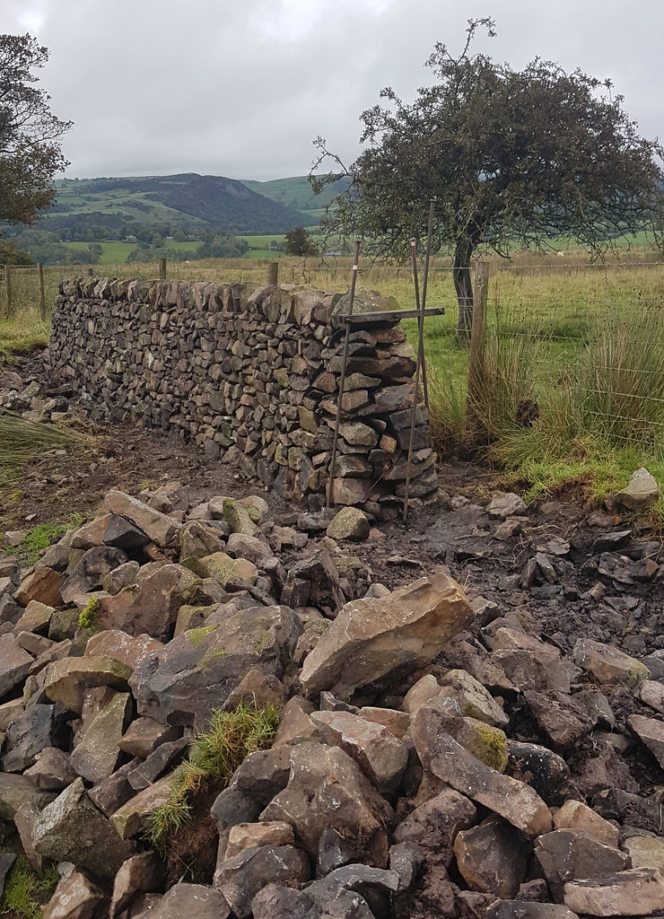 Dry stone walling at Rossen Clough