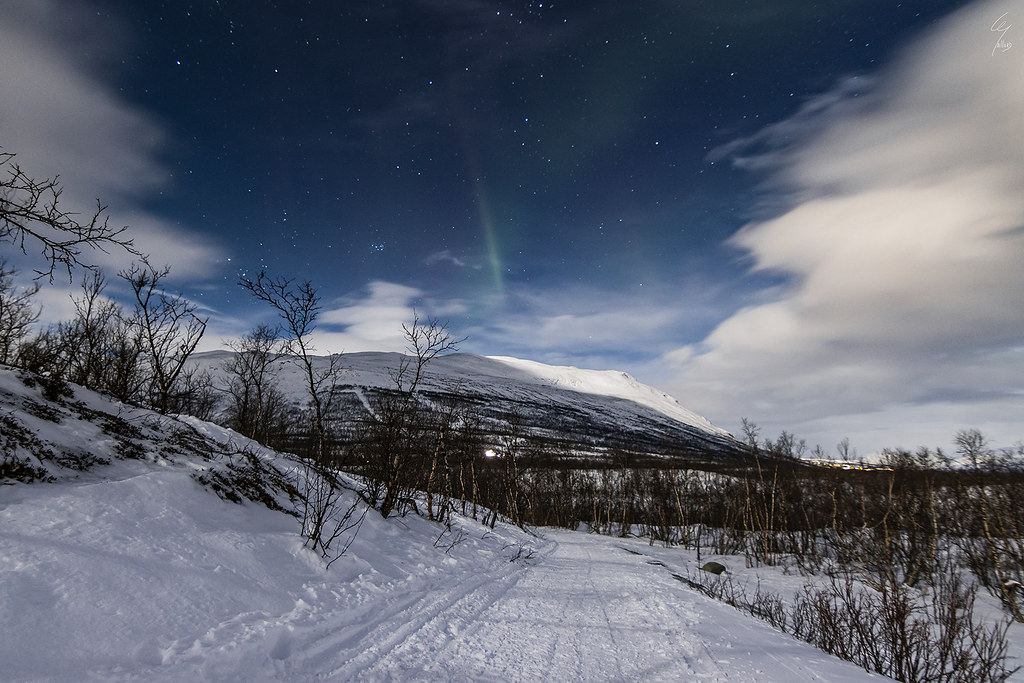 Abisko's aurora borealis at full moon -  Abisko, Sweden - 26/02/2024