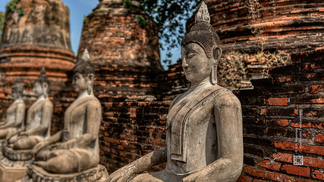 Wat Yai Chai Mongkol, Ayutthaya, Thailand, 14, 11-2022, (Vlad Meytin, vladsm.com)