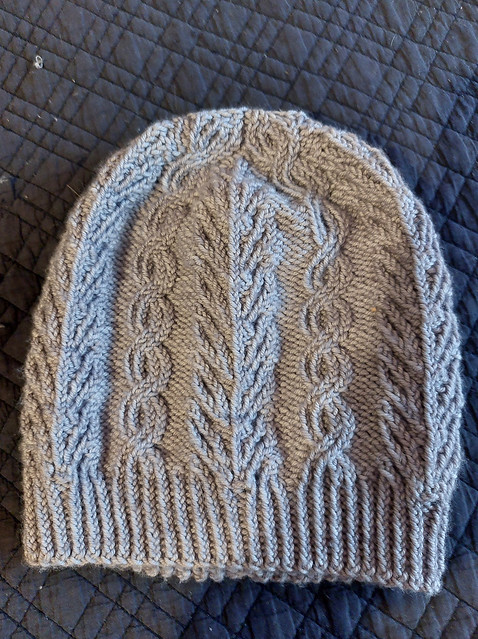 Wai Ling (dizzy yrs) knit this Tree Boughs & Trails Hat by Clare Lakewood with Madelinetosh Tosh Vintage in Great Grey Owl.