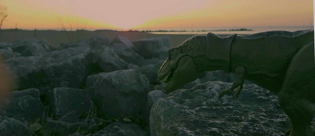 T-Rex beach sunrise